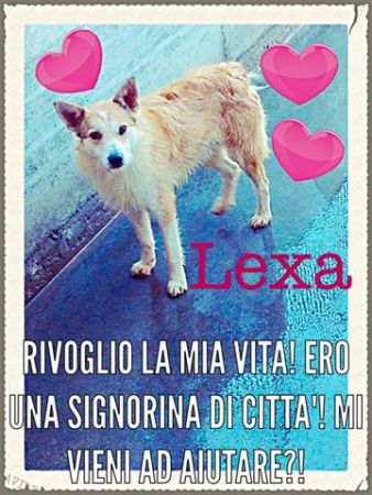 Lexa