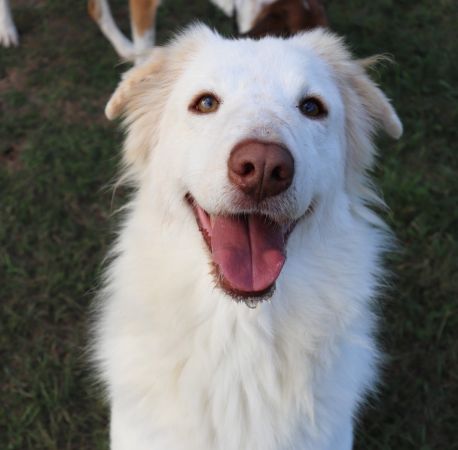 Lucy