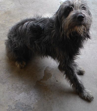Keleya