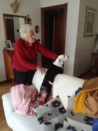 Sissi