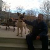 Renatino