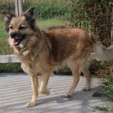 Lucrezia