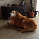 Teo