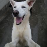 Yuki