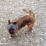 Trudy