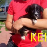 Keiko