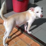 Mael