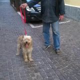 Hansel