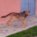 Thelma