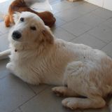 Nuvola