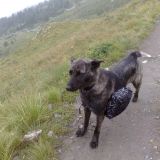 Lola