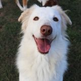 Lucy