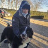 Orso