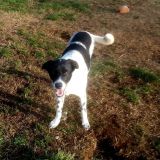 Lilli