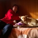 Perla