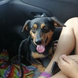 Oliver