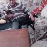 Nerino
