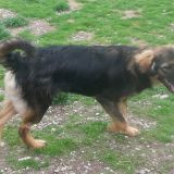 Koby