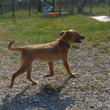 Spillo