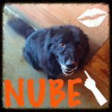Nube