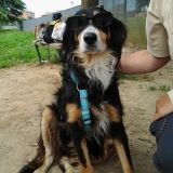 Susy