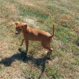 Molly