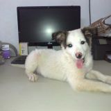 Nalin