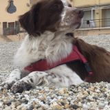 Solara